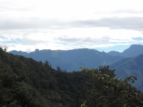 alt-給個大自然的奇蹟--觀霧山椒魚的故事-1