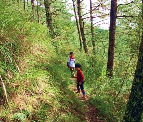 alt-合歡越嶺古道登卯木山親子行-1
