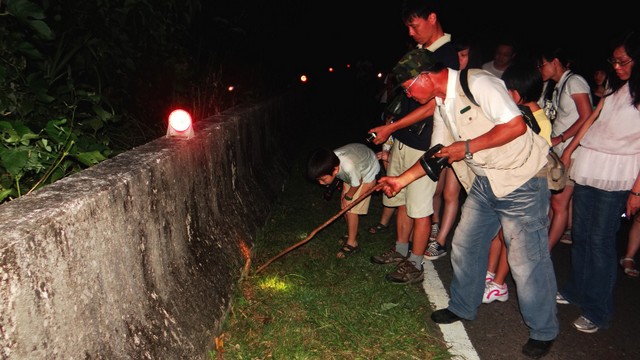 alt-保育與經濟的雙贏機會—墾丁社區生態旅遊-1