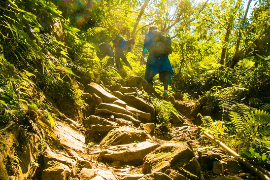 alt-帶著老靈魂上山-1
