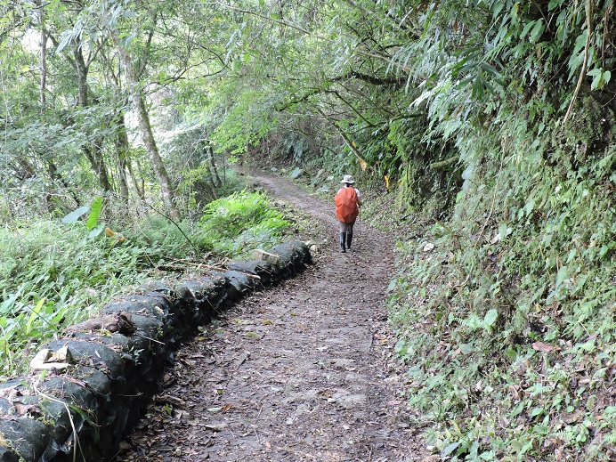 alt-太魯閣族的秘密基地--大禮、大同步道行-1