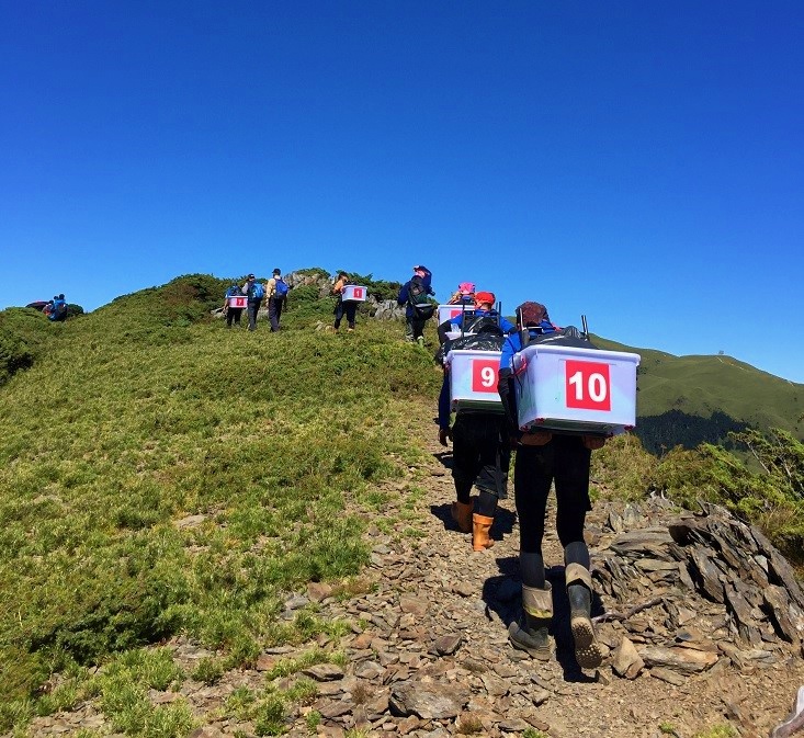 2017年10月26日以人力背負鮭魚 放流至合歡溪歷時8小時  (雪霸國家公園管理處提供)