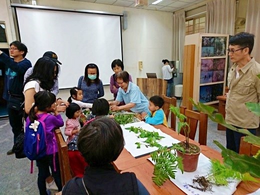 自然遊戲 「小小神農氏」 介紹常見草藥植物