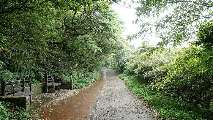 alt-三代幸福自然人文之旅—臺博草山春遊趣-1