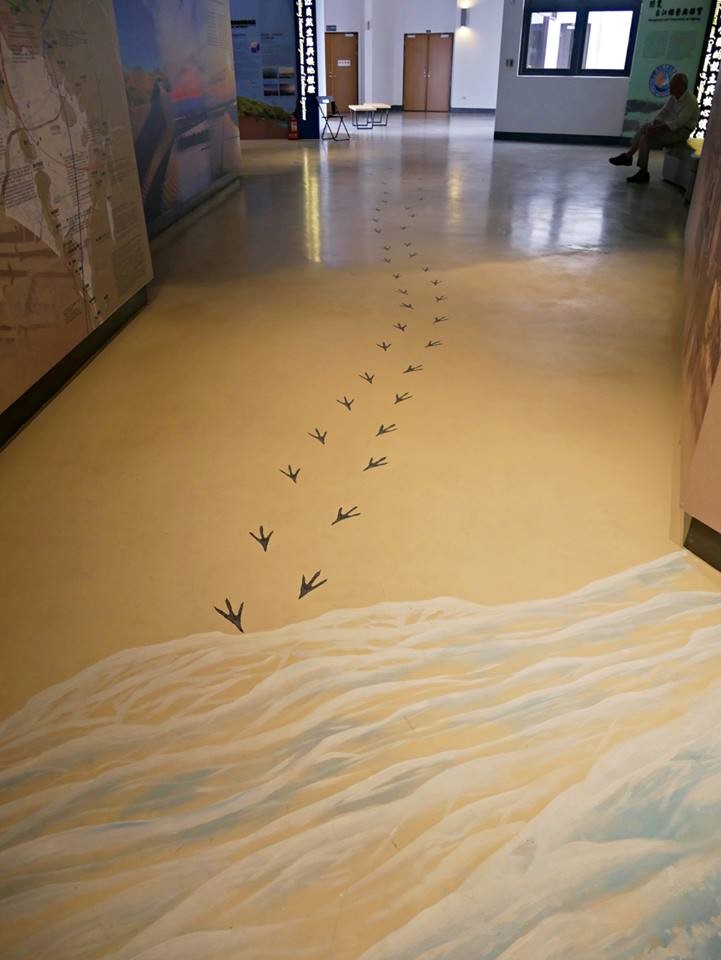 alt-吉慶台江，歡喜三月，跟著鳥兒足跡體察全世界—台江遊客中心開幕及黑琵季閉幕活動-3