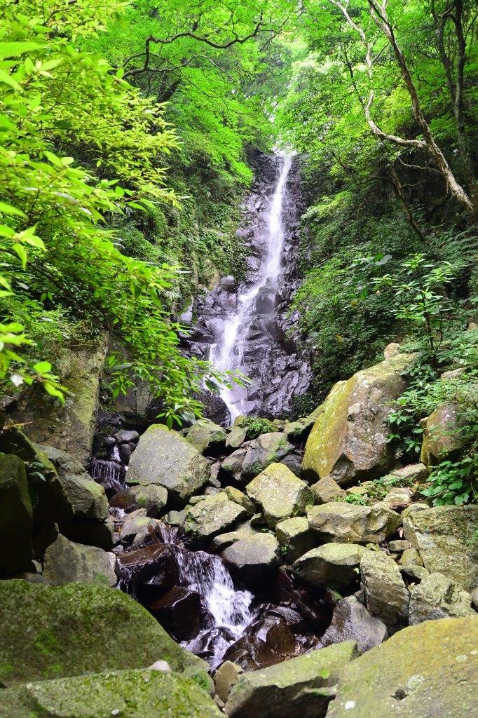 鹿角坑生態保護區開放管制站至楓林瀑布，提供喜好大自然生態的民眾申請進入參觀  (陽明山國家公園管理處提供，韓志武攝)