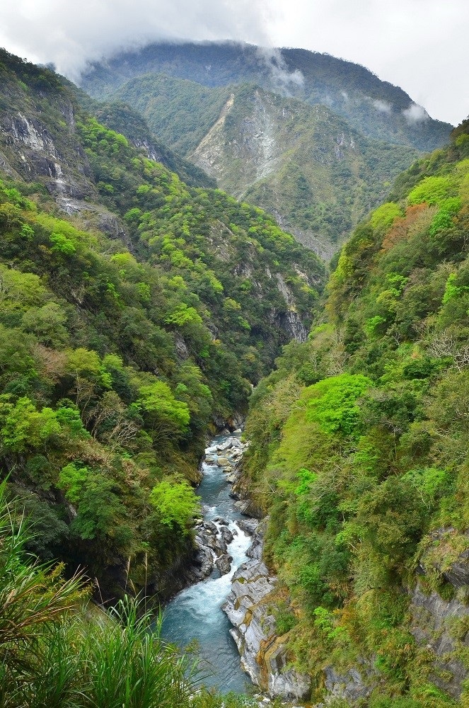 在白楊步道俯瞰塔次基里溪 (太魯閣國家公園管理處提供)
