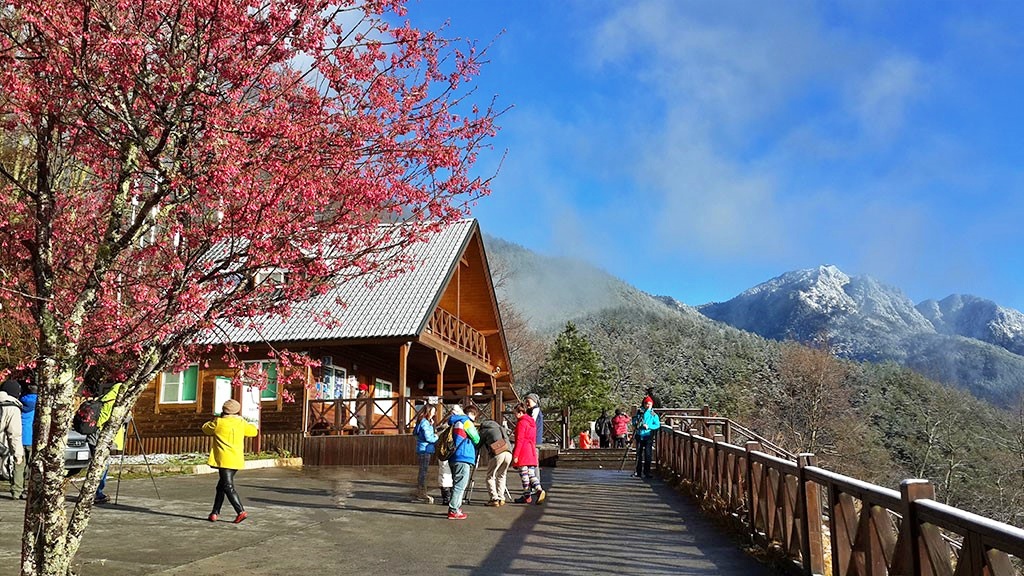 alt-武陵地區的必遊景點--雪山登山口服務站-1