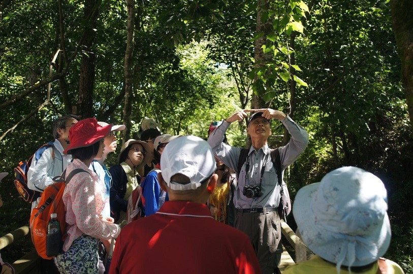 alt-在雲霧繚繞下安適生活--觀霧山椒魚試驗棲地-1