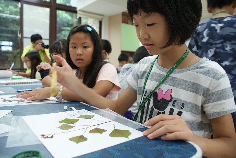 alt-今年暑假，孩子滿載而歸的斯文猴自然探索營生態任務圓滿成功！-5