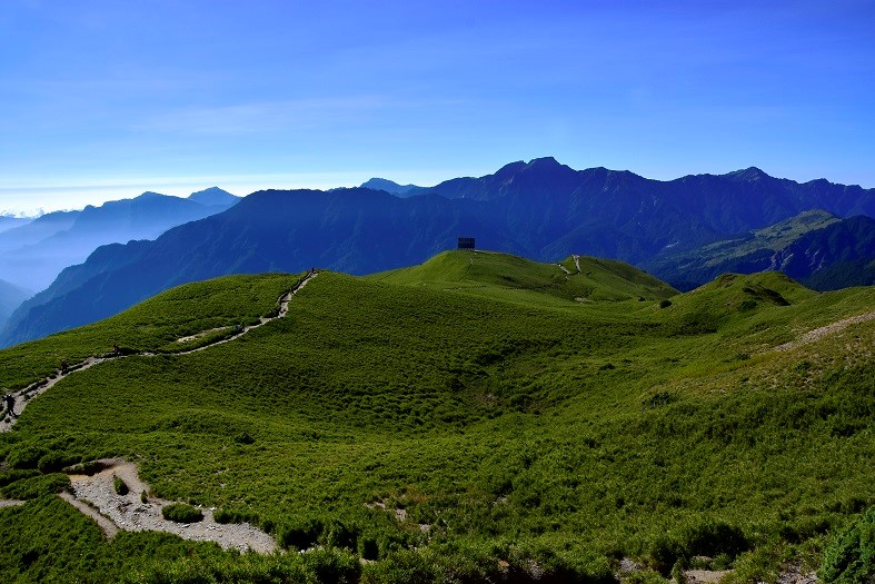 合歡北峰上那片滿是綠意的廣袤草原， 總讓人感到心曠神怡