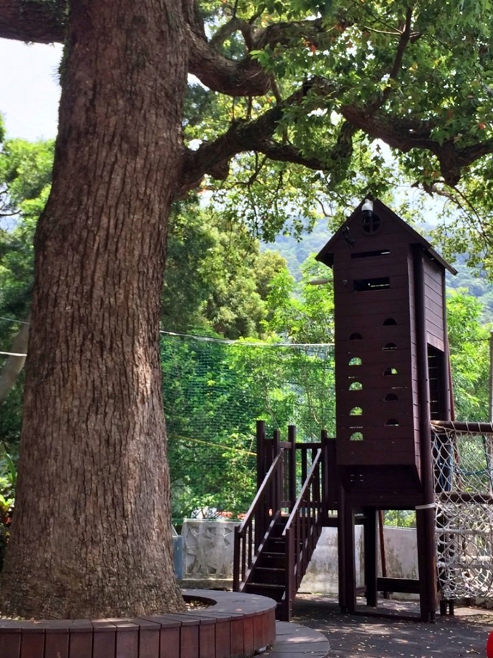 alt-為自然打開眼睛與耳朵，培育公民科學家，從小做起！(同場加映: 國家公園員工與社區合作編導影片發表會)-1