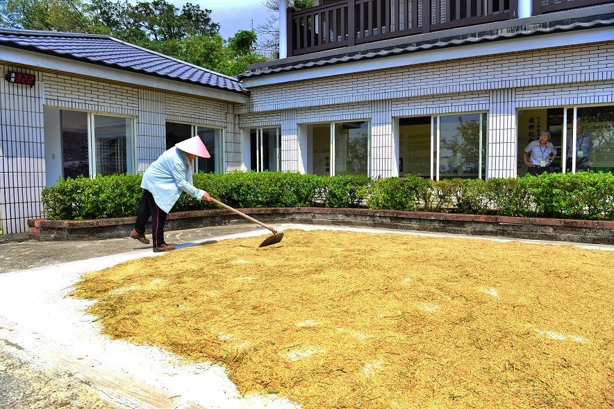 alt-連結人與土地的關係--竹子湖蓬萊米原種田故事館-3