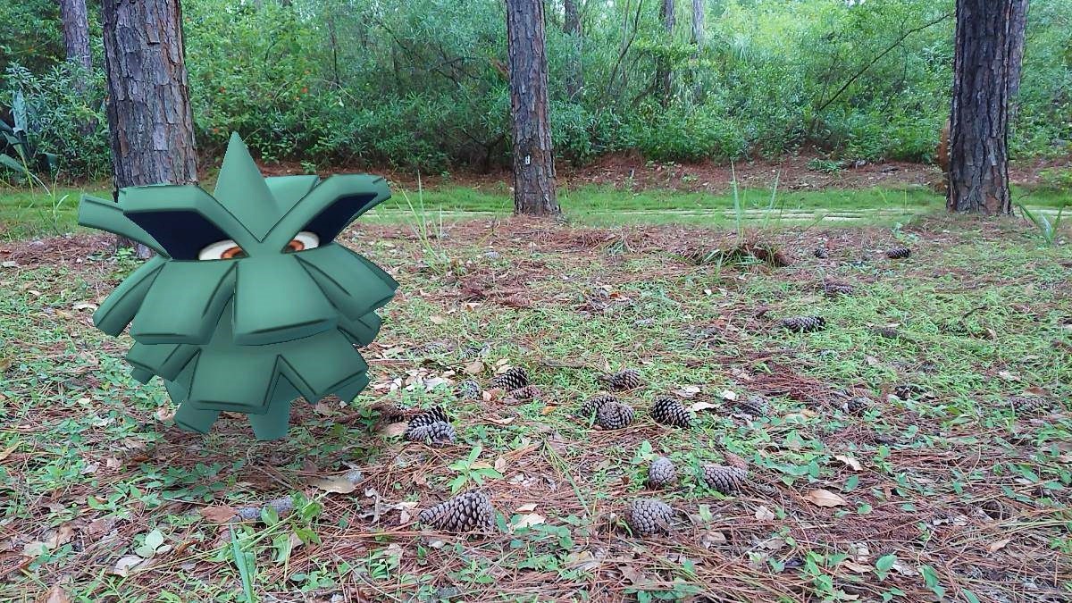 歡迎來中山林遊憩區， 探尋你的島可夢 (金門國家公園管理處提供)