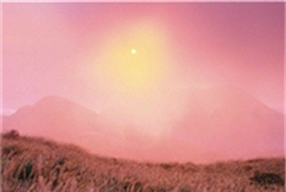 陽明山的秋芒／戴進元攝