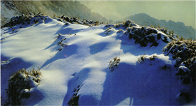 合歡山雪景
