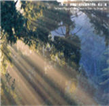 迷霧之森，讓棲蘭木充滿詩情畫意的美感