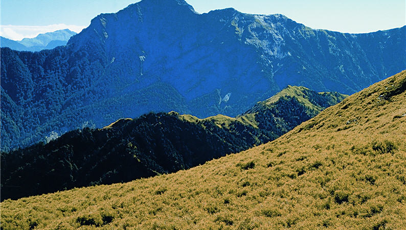 有黑色奇萊之稱的奇萊北峰,雄偉的山勢令人讚嘆/ 李昱進攝