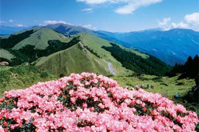 可親近度高的合歡東峰,適合作為登山入門的訓練/ 戴進元攝