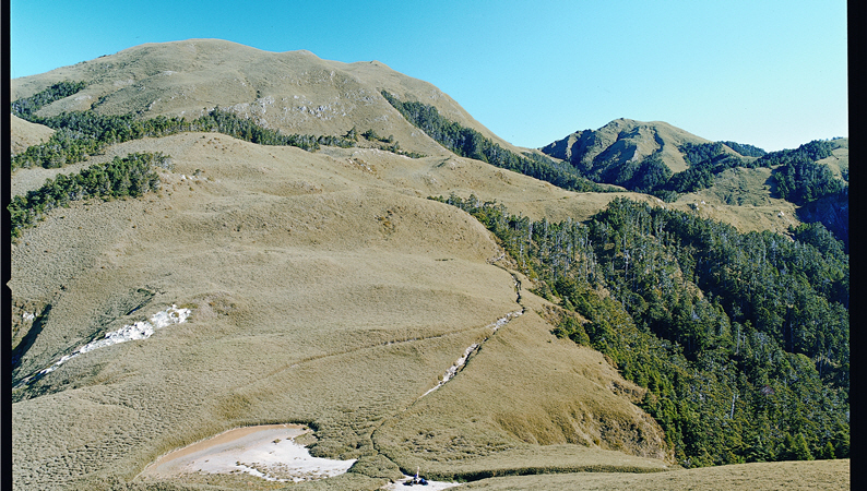 多了一層的守護力量,讓我們能更安心地欣賞山岳景致/呂理雍攝