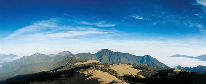 台灣這片貫穿全島的綠色山林,除了是舉足輕重的國家「龍骨」,也是物種生生不息、永續發展根源所在。/Elwynn 攝