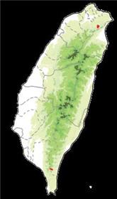 台灣油杉的分布圖。( 繪圖參考來源:林務局網站)