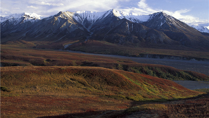 苔原秋紅，遠處是覆雪的阿拉斯加山脈。
