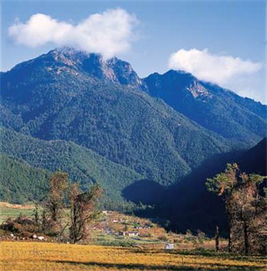 桃山下的武陵農場顯得靜謐而優美。