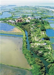 台江國家公園/ 趙家麟攝