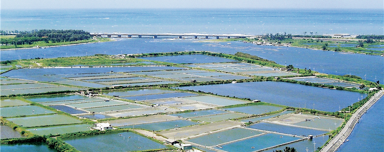 人們的環境倫理觀念終會提升。以台江國家公園為例，這是首座地方催生的國家公園，把獨特文化、多元豐富的生態完整保留，比起填地蓋樓更能留給子孫一片淨土。/ 趙家麟攝