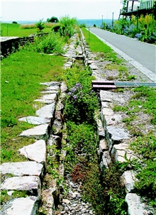 因應降雨強度，以乾砌石塊作為排水溝，即使乾季時，亦可呈現自然綠意