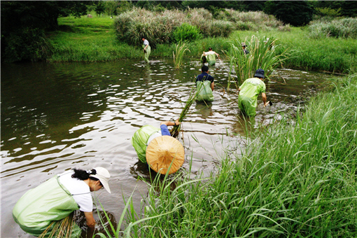 國家公園的生態工程都是典型的運用，有些活動能讓民眾親近、體驗生態工程的精神/ 陳德鴻攝