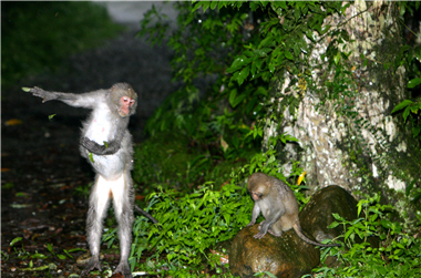 Such an interesting moment could only be caught under the situation of mutual respect between humans and animals.