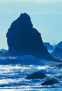 由壽山至高點望向西子灣，可以看到海中層巒疊翠的怪石，景觀神似澳洲著名景點大洋路。/串門攝影提供