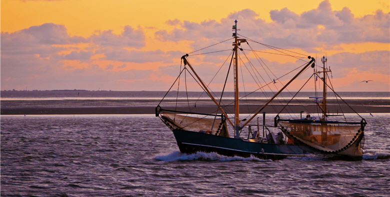 台灣海洋保育路,學者一路走來蓽路藍縷/ Peter 攝