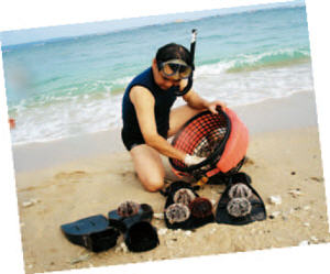 國立自然科學博物館趙世民博士，在後壁湖保護區檢視海膽生長情形。/後壁湖警察小隊提供