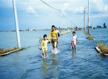 台灣沿海地區地層下陷、海水倒灌情形/范光龍提供