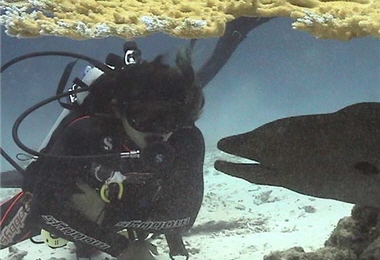 在這裡的海底生物都可以跟人如此親近(圖為裸胸鯙) /羅力攝