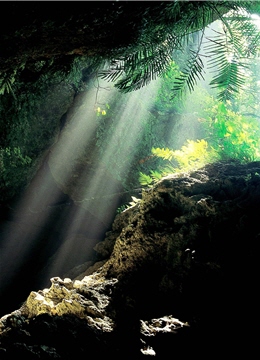 壽山擺脫礦業開發帶來的破壞，露出升格「壽山國家自然公園」的曙光。/串門攝影提供