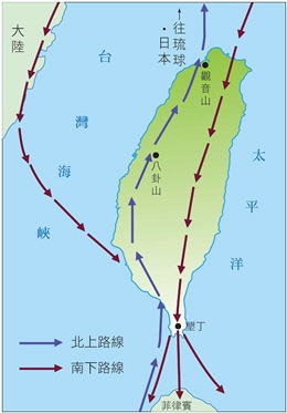 灰面鵟鷹遷徙路線圖