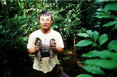 陽明山國家公園在15年前就已進行鳥類的監測追蹤計畫與執行。圖為台灣松雀鷹,左為雌鳥,右為雄鳥。