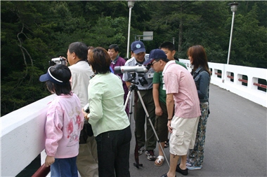 遊客可在迎賓橋上觀賞鴛鴦美麗的身影/雪管處提供，張燕伶攝