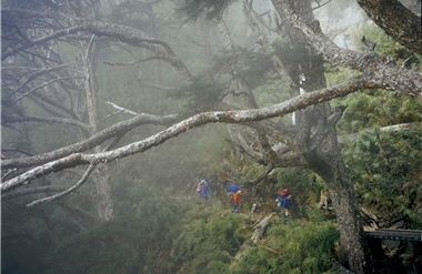 玉山主峰線步道