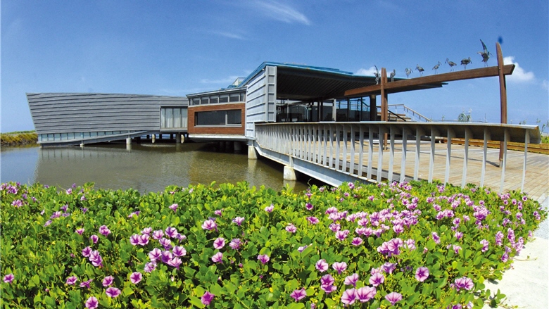 台江國家公園內，特有生物研究保育中心設置的黑面琵鷺生態展示館，可讓民眾了解黑面琵鷺基礎的生態背景與資料 / 台管處提供，陳金源攝