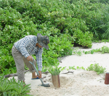東沙島除了陸地上的動植物之外，也包含海域中的生物，保育志工必須具備潛水執照、救生員執照/  吳瑞賢提供