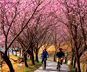 我 來到國家公園 不願挾帶著難聞的廢氣及CO2 只想沈浸在熱情灑脫的汗水中 用緩慢的腳步 細細感受台灣最純粹的美