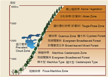 台灣植被示意圖/劉好音繪