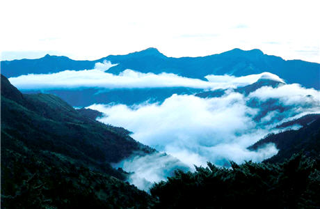 玉山國家公園山形壯麗,海拔高度造就出霧林及雲海美景/莊明景攝