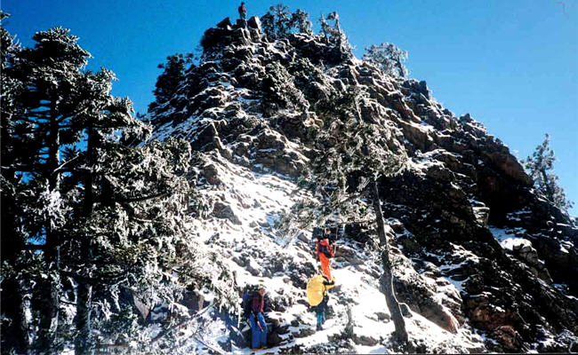 與山林磋跎了近40年的緣份，相遇之後，讓高健翔更懂得珍惜
