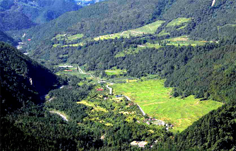 2010年的現況，經4年的休 養生息後，裸露的土壤逐漸長出綠色的植被。／雪霸國家公園管理處提供，張燕伶攝